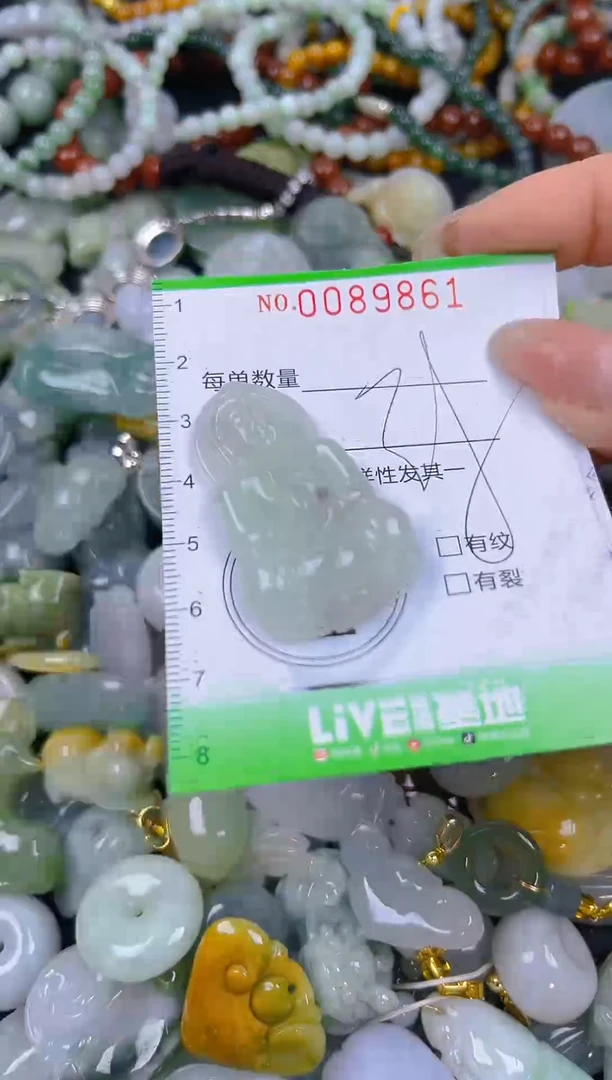 翡翠未镶嵌颈饰闪购0089861