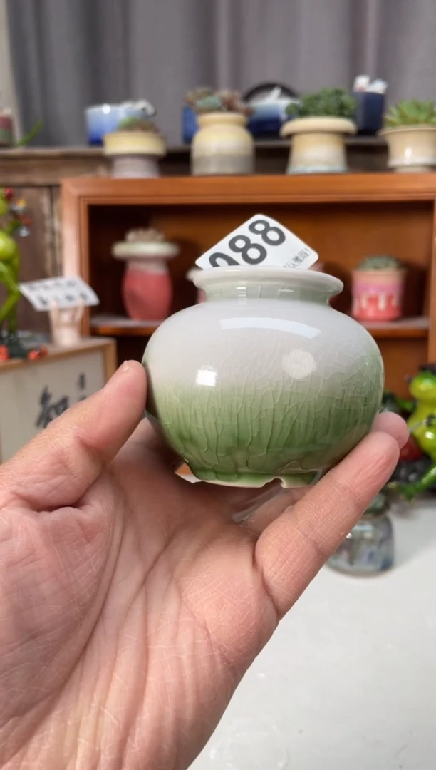 瓷片988小芳直播编号