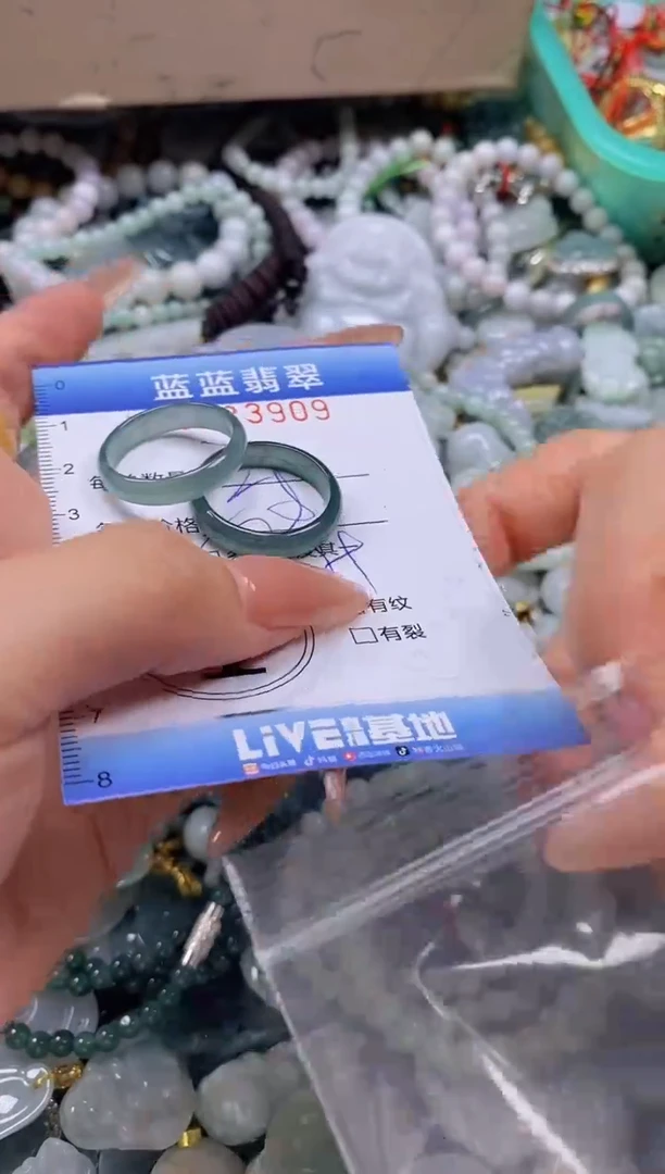 翡翠未镶嵌颈饰闪购0283909