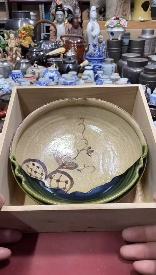 发发发发啊发发发发发发发