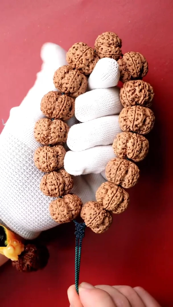 手串金刚菩提精挑25五爪