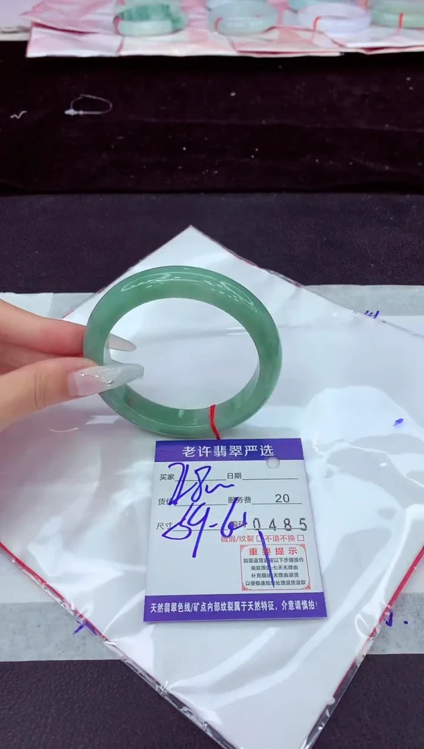 未镶嵌手镯翡翠1