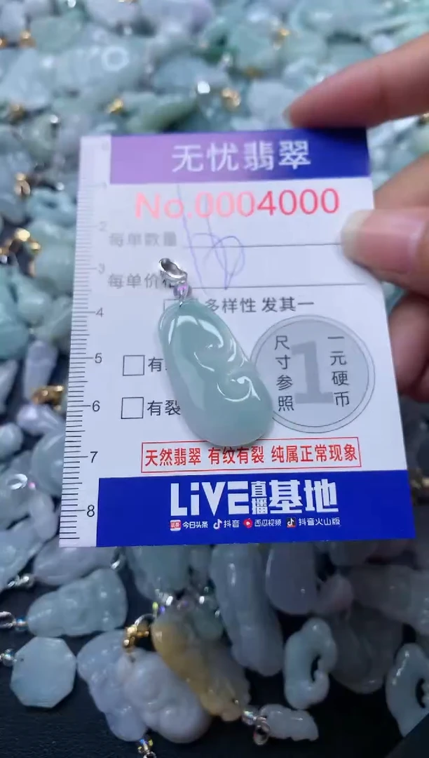 颈饰未镶嵌翡翠4000