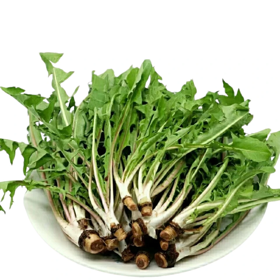 【新鲜蔬菜】5把蒲公英