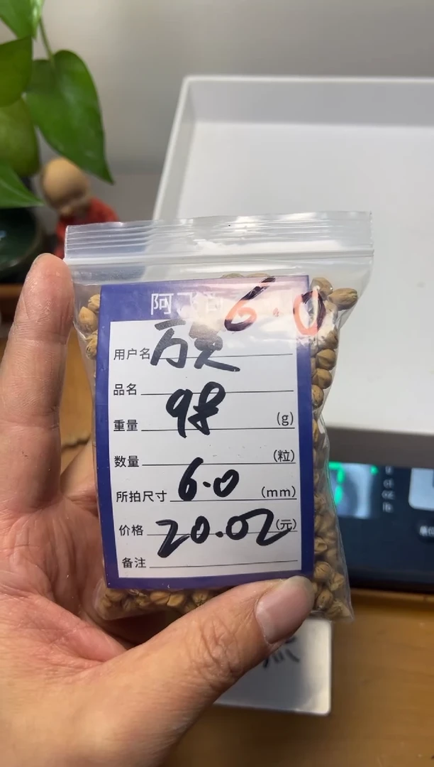 【闪购商品】柏香籽/百香籽吊坠20.02