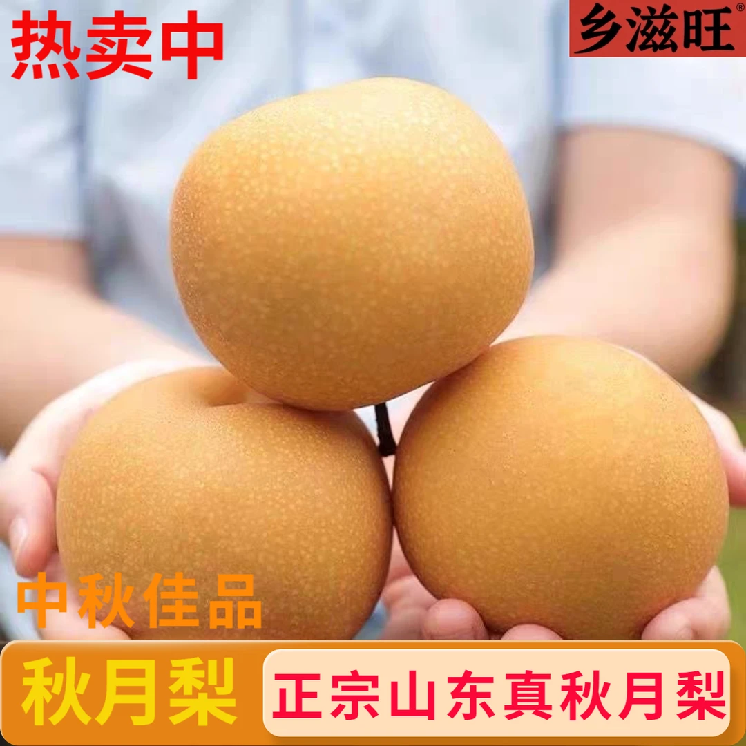 【头茬】正宗山东秋月梨冰糖梨新鲜酥梨当季梨子薄皮多汁金秋梨现摘