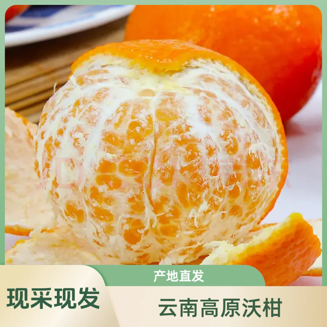 【普通快递】正宗云南高原沃柑 新鲜应季沃柑桔子清甜可口产地直发