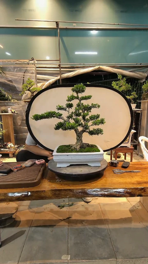 完全开放凡**场000000000