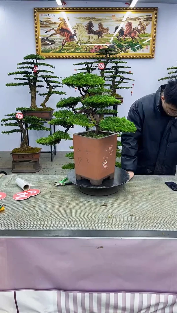 【闪购商品】一物一拍，所见即所得一物一拍，所见即所得