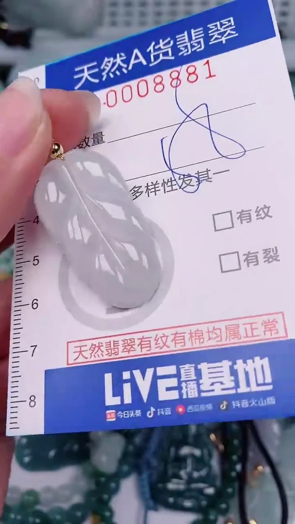 【闪购商品】翡翠颈饰未镶嵌00008881