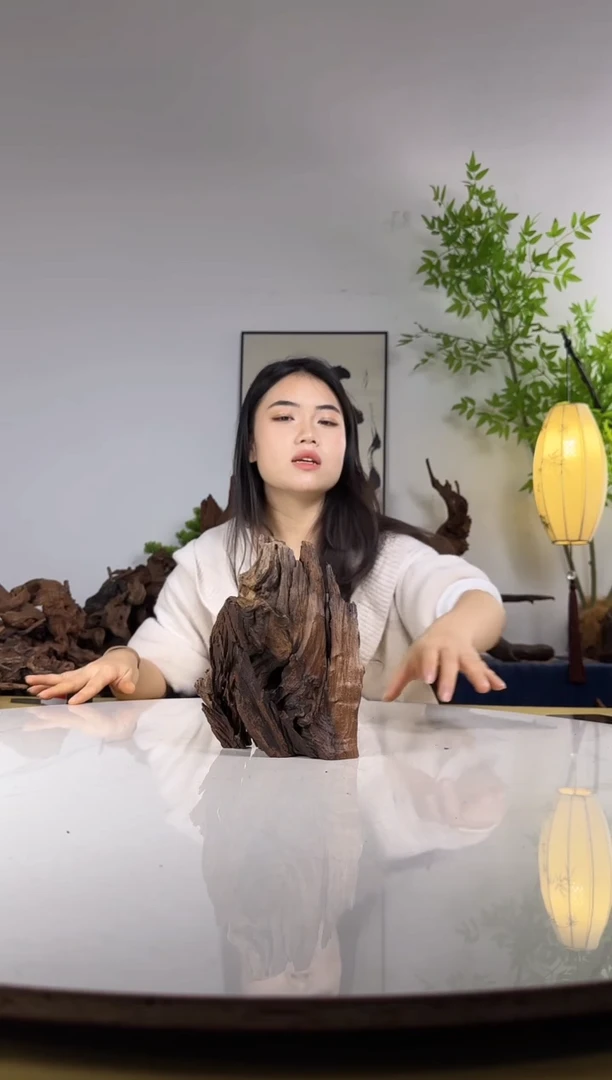 评**功拍沉木定向链接编号10