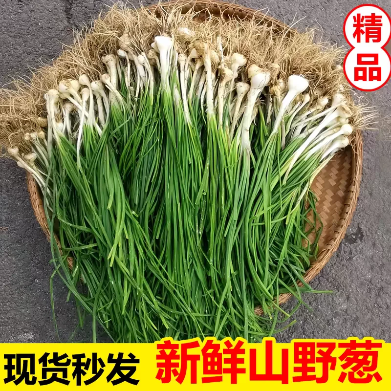 新鲜野葱野菜深山现挖现发小根胡葱野生葱