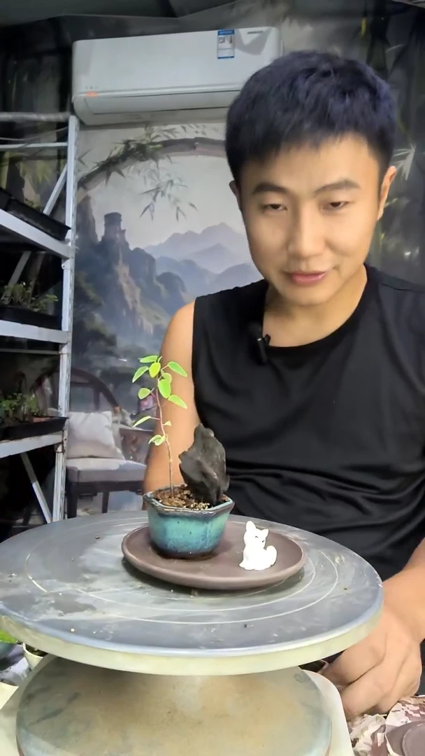 若*?中青园艺一物一拍6