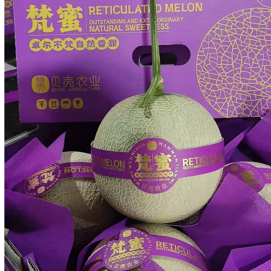 【彩味堂】梵蜜网纹瓜蜜瓜礼盒装香甜软糯应季新鲜水果顺丰包邮