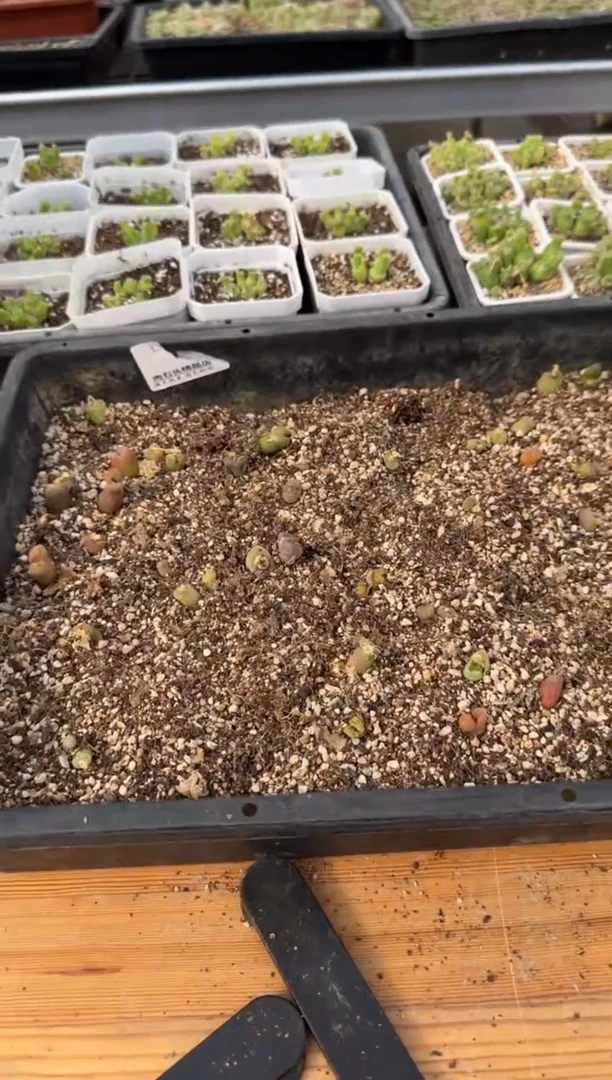 【闪购商品】14-16