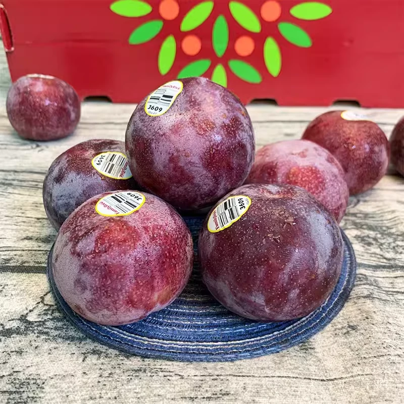 美国恐龙蛋李子1个