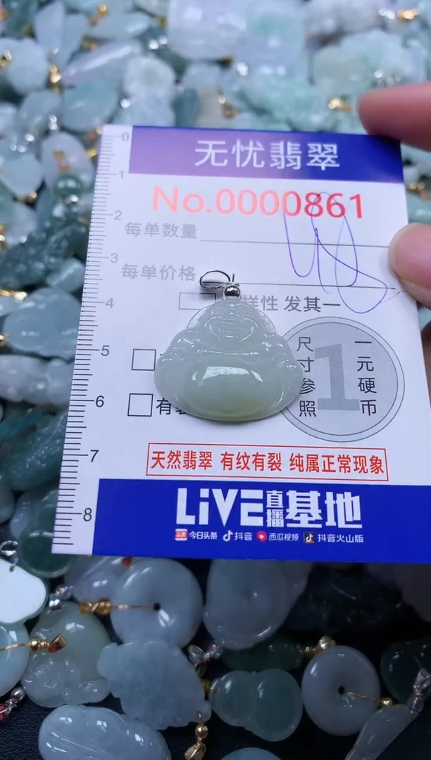颈饰未镶嵌翡翠861