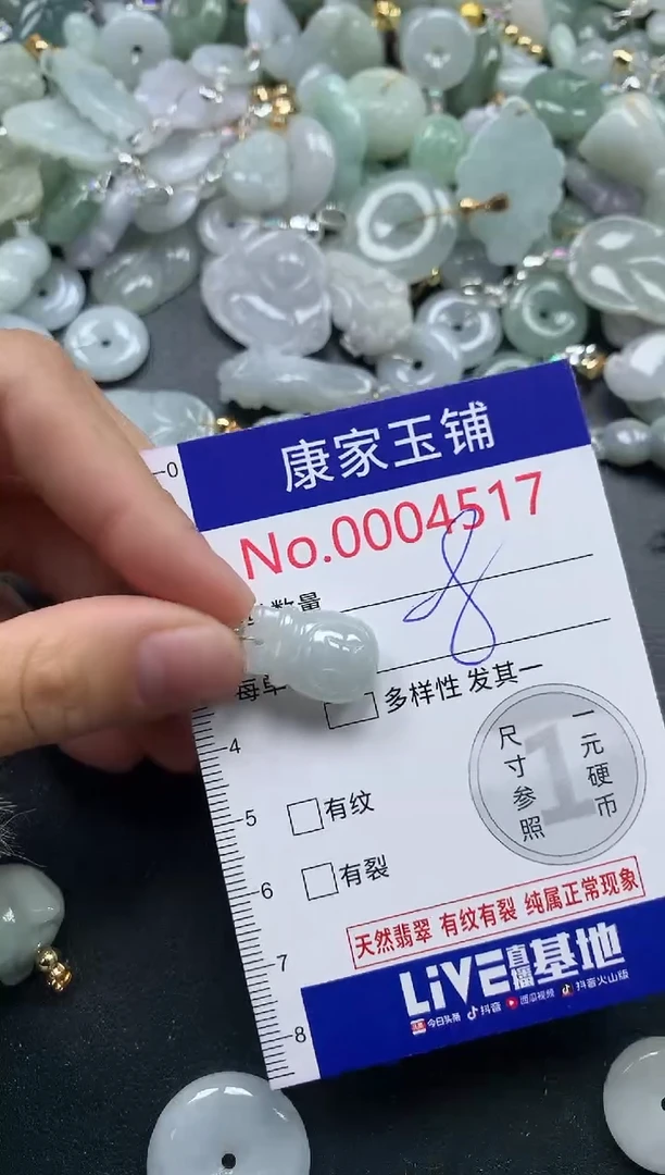 颈饰未镶嵌翡翠4517