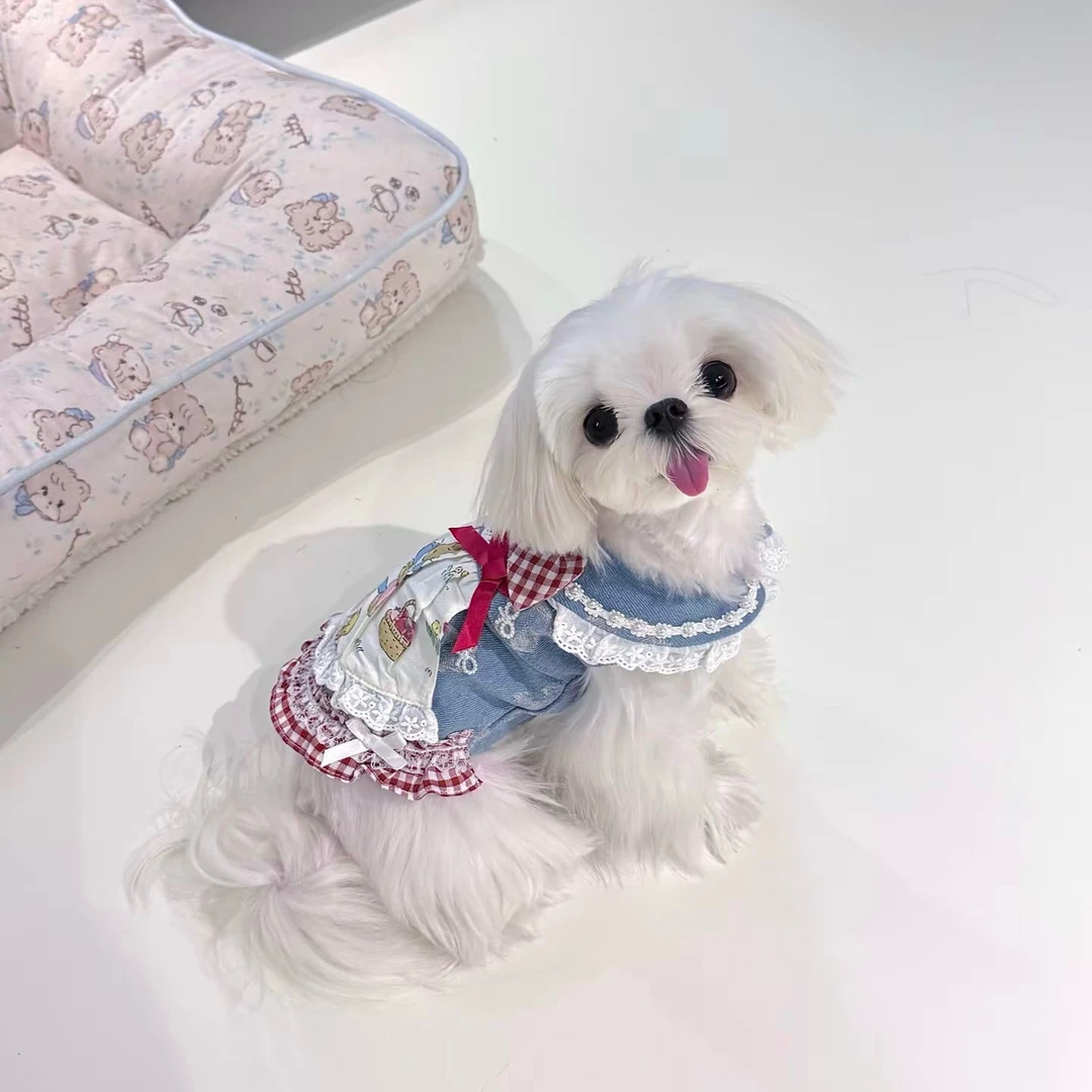 蓝色牛仔大眼弟弟