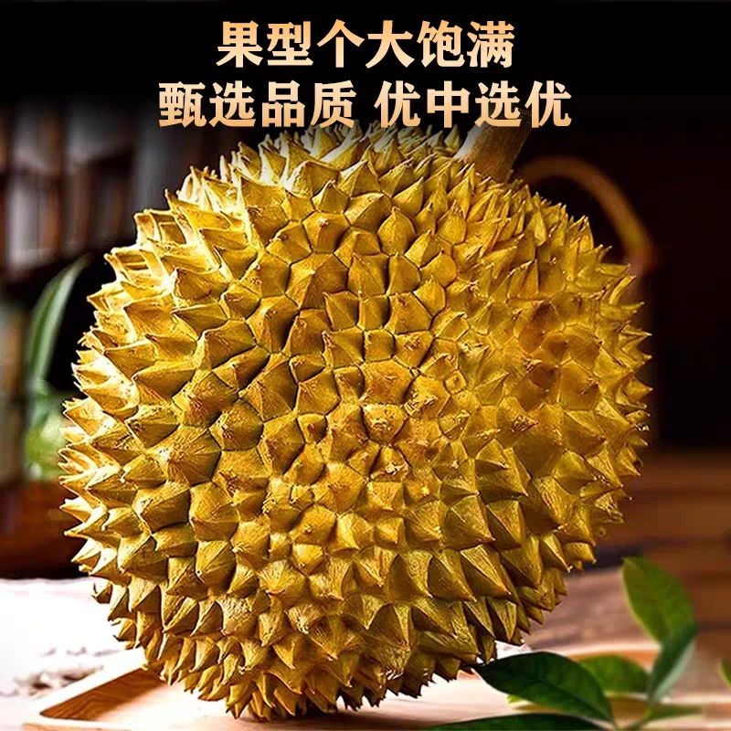 10E财神组金枕榴莲【顺丰次日达】泰国A级树熟金枕头鲜榴莲6-7斤（核小香甜软）金枕泰国