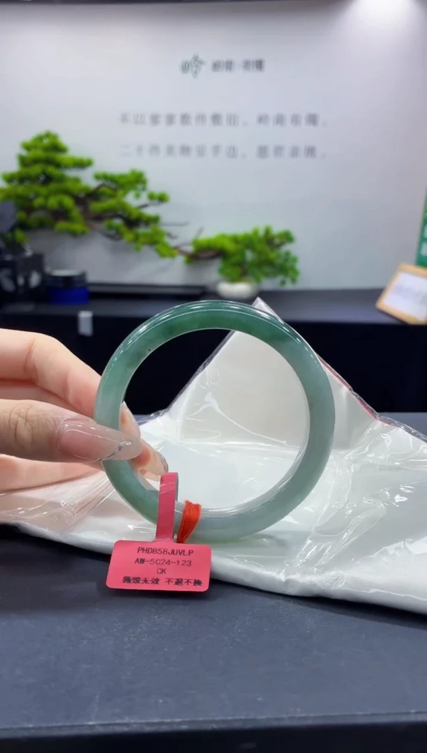 未镶嵌手镯翡翠6