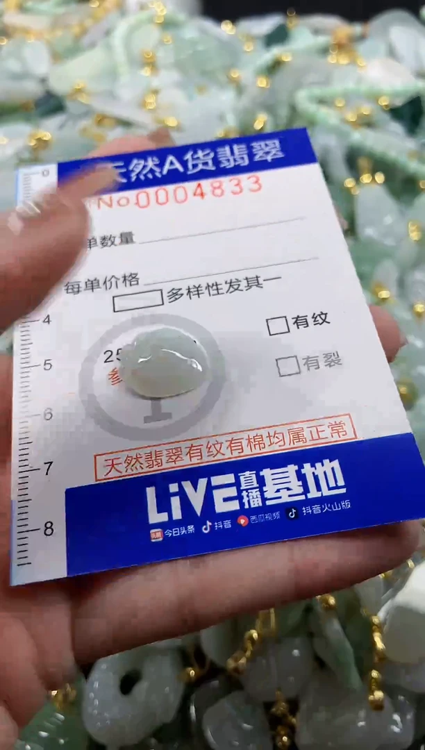 颈饰未镶嵌翡翠天然A货翡翠
