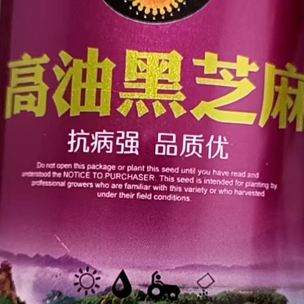 高油黑芝麻种子抗病强品质优