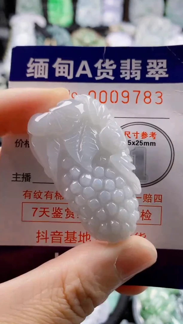 翡翠未镶嵌吊坠(不含链)1