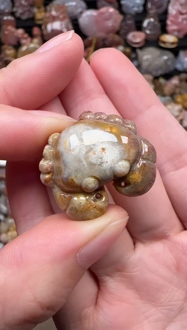 颈饰未镶嵌硅化珊瑚（珊瑚玉）051