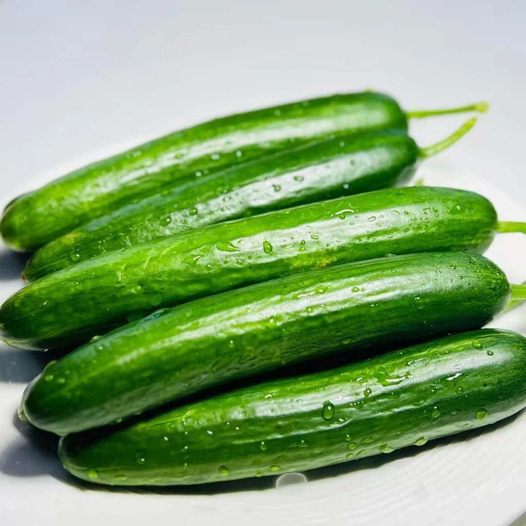 脆口黄瓜，新鲜采摘-脆爽清甜500克黄瓜同城送黄瓜同城配