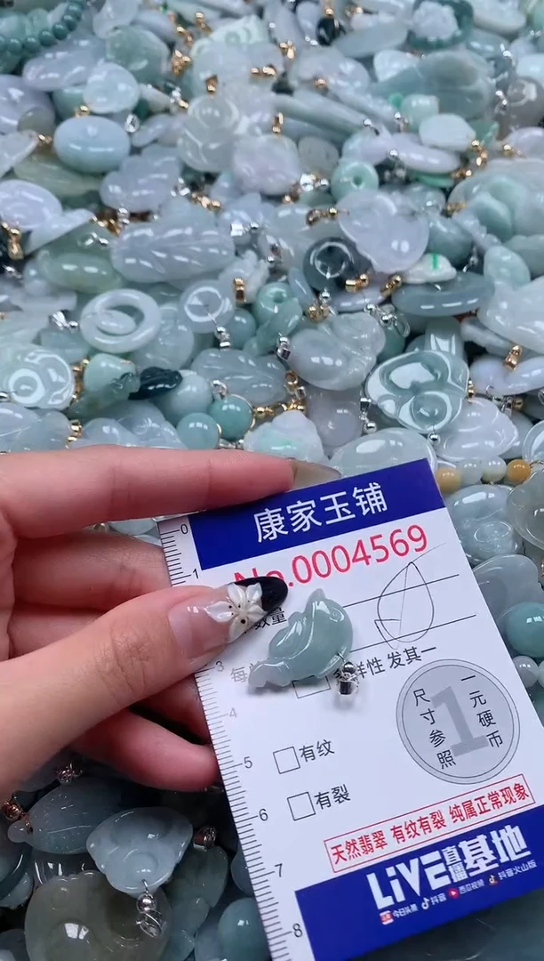 颈饰未镶嵌翡翠4569