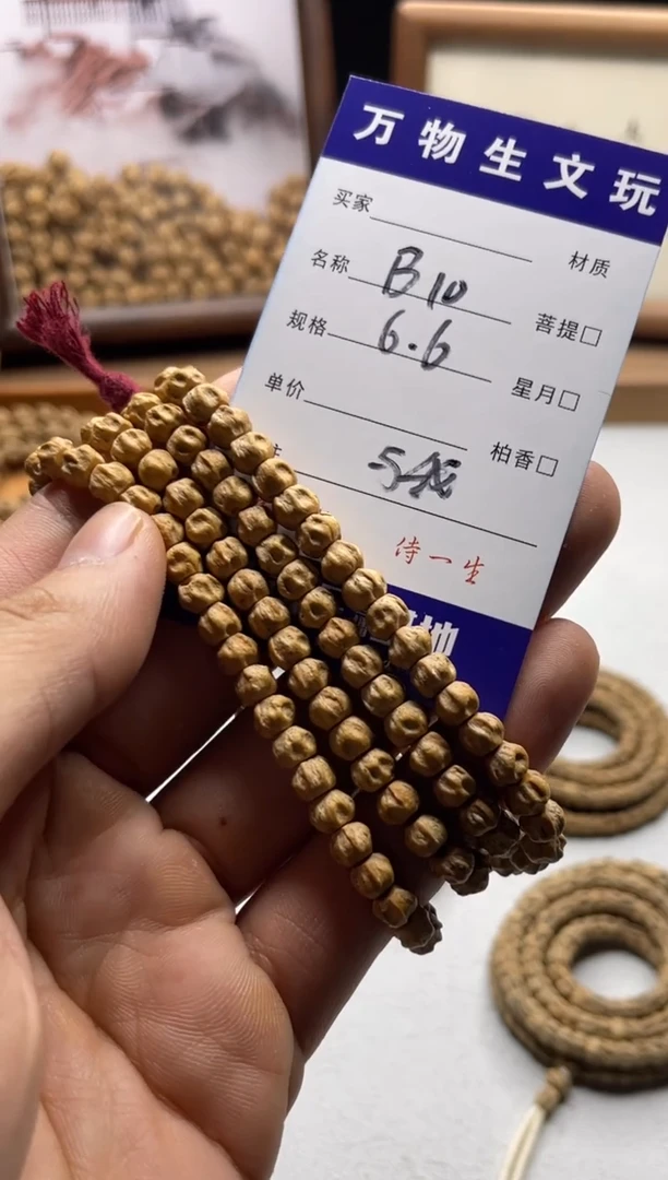 手串柏香籽/百香籽与*-b10