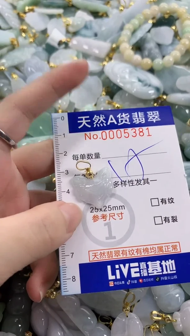 颈饰未镶嵌翡翠天然A货翡翠