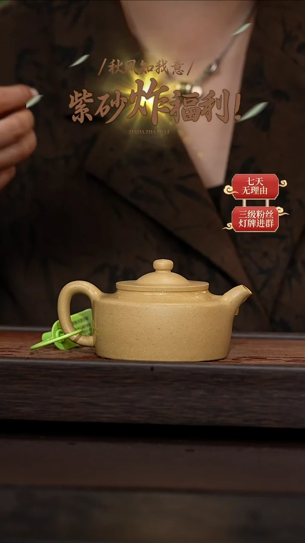 茶壶紫砂隐士壶200cc