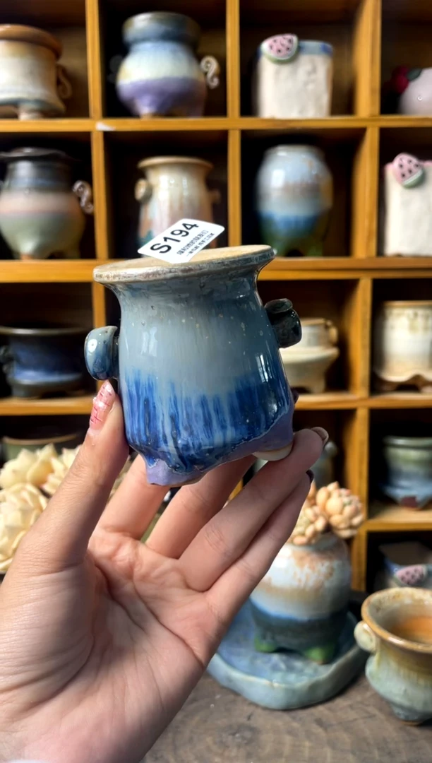 194内口5【多肉花盆多肉盆】