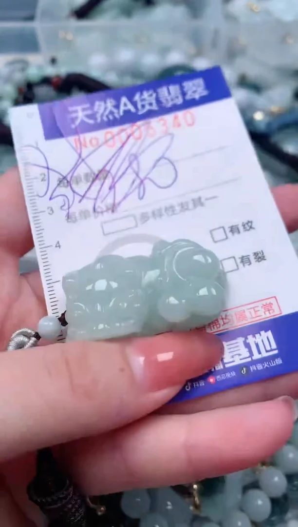 【闪购商品】翡翠颈饰未镶嵌00005340