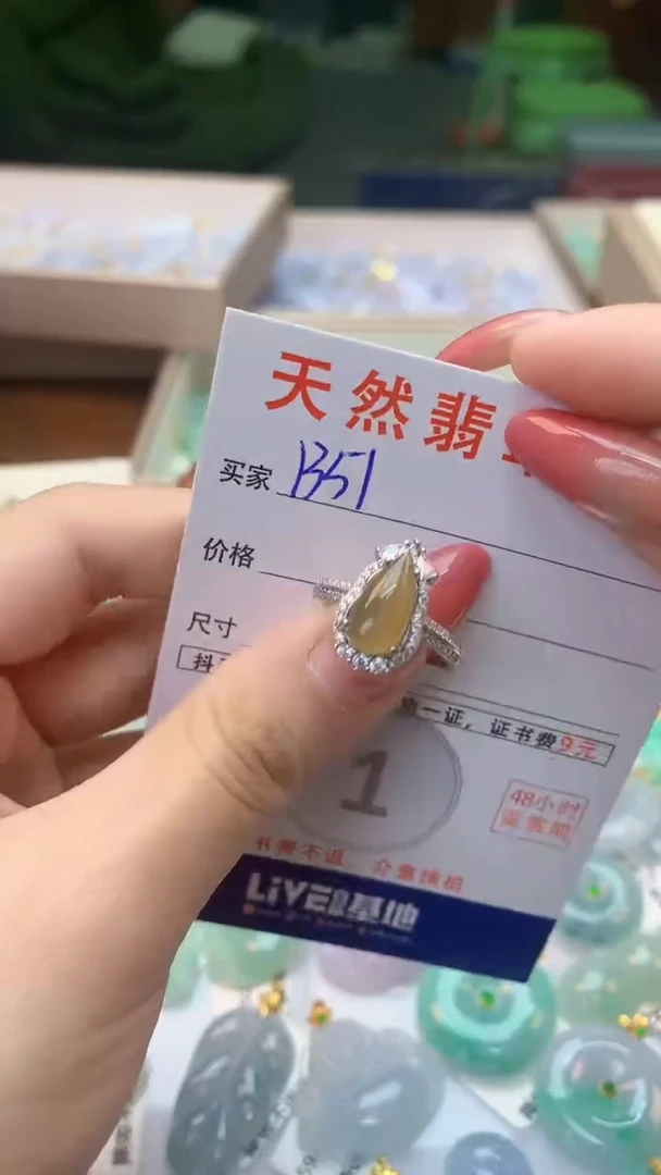 颈饰未镶嵌翡翠天然A货翡翠挂件