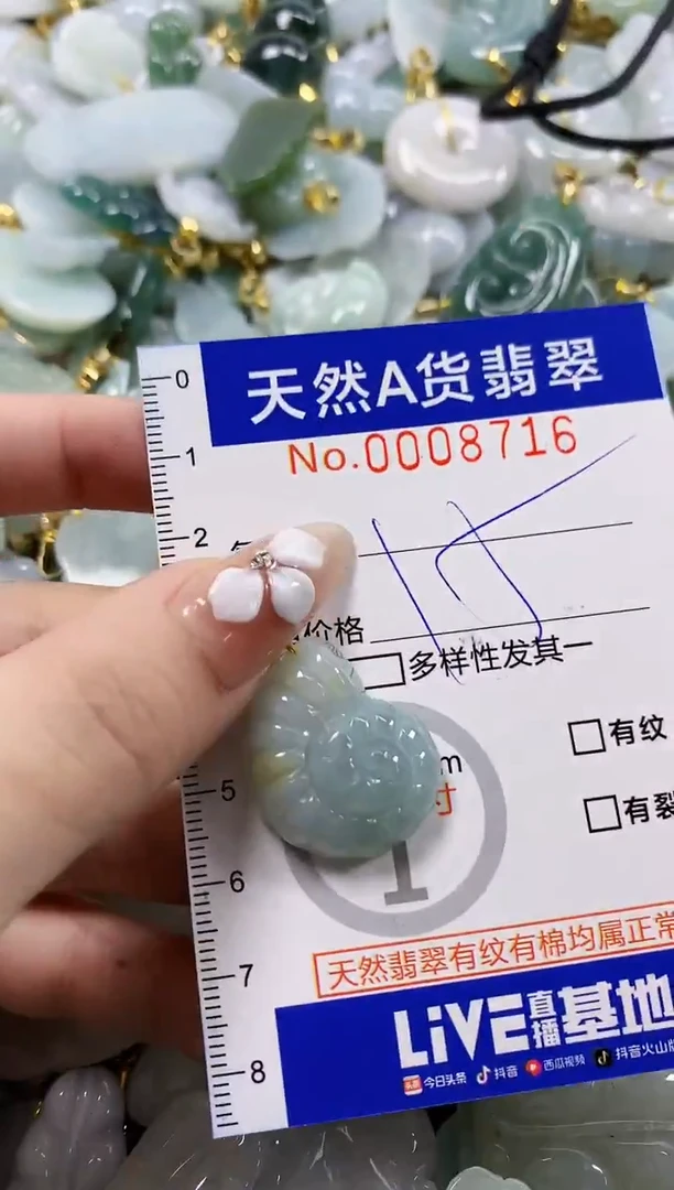 颈饰未镶嵌翡翠天然A货翡翠