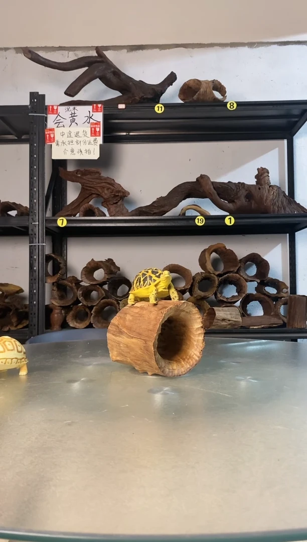 小*皮鱼缸爬宠造景素材428