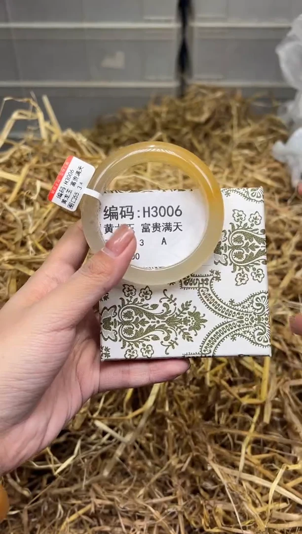 未镶嵌手镯石英质玉H3006