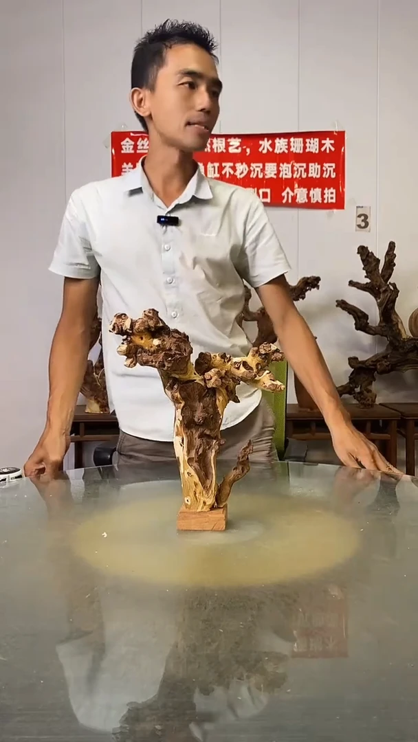 香榧木王*宇金丝红木   羊蹄甲