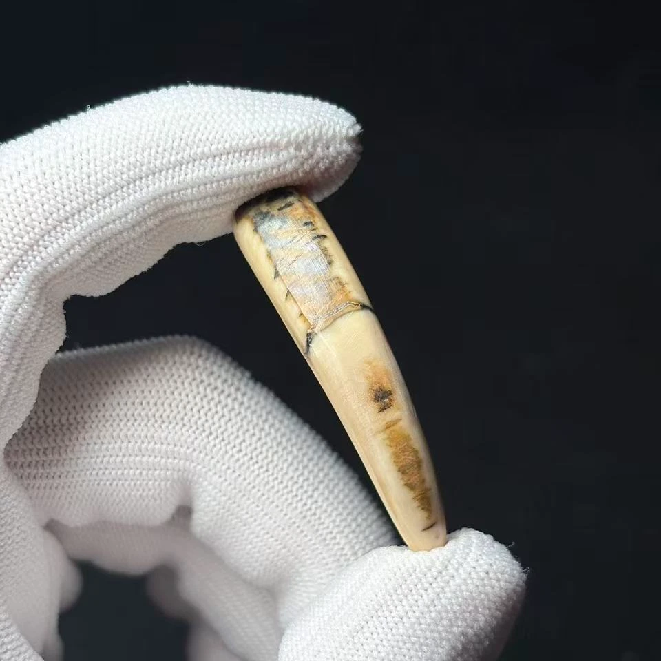 丰骨「猛犸象牙·牙尖」Y693 45*10mm 材质保真 假一罚四