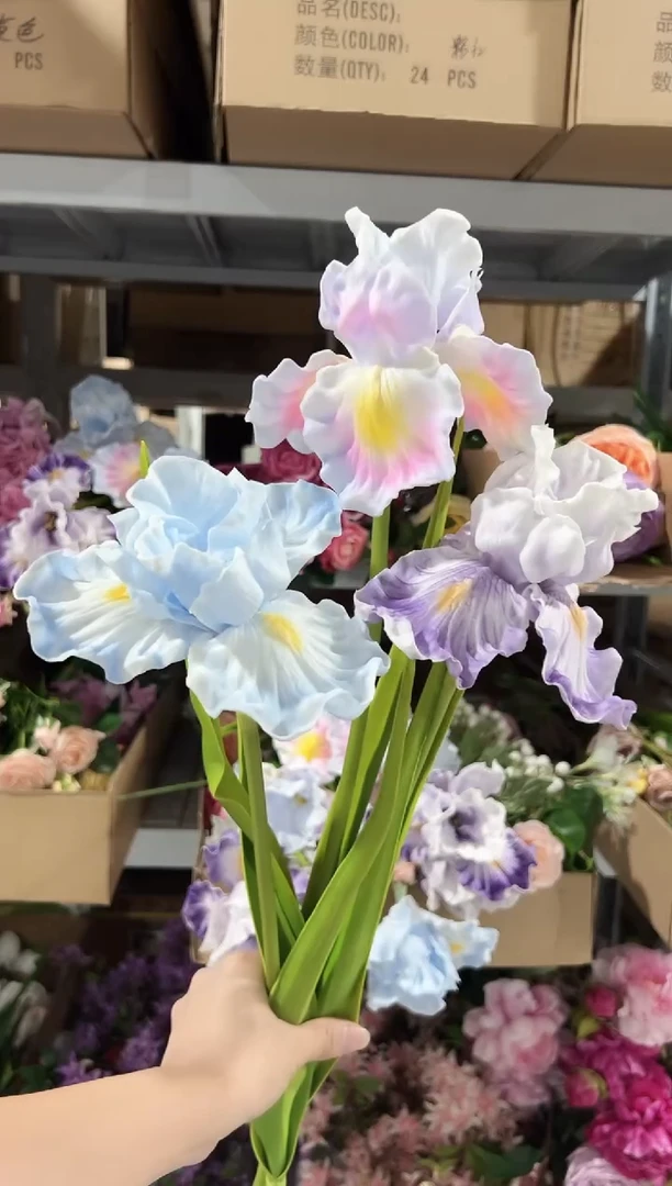 3枝混色大鸢尾花花