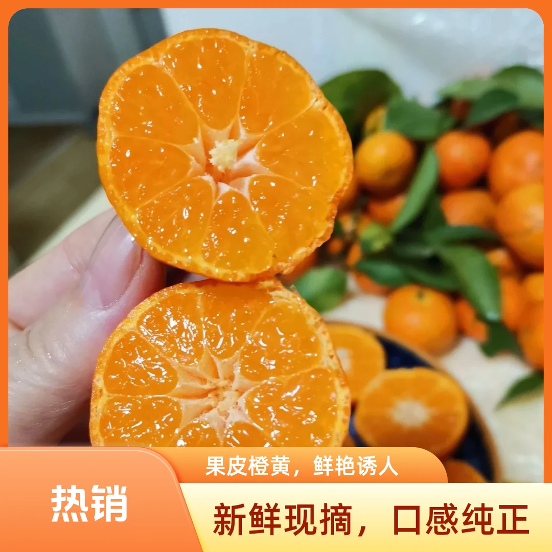 【酸甜】正宗广西砂糖橘嘎嘎好吃的砂糖橘