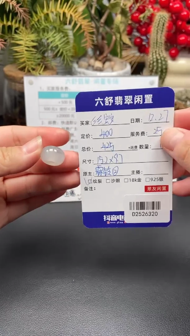 颈饰未镶嵌翡翠?**安D2526320