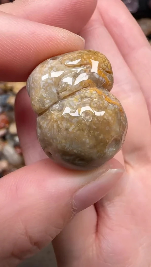硅化珊瑚（珊瑚玉）未镶嵌颈饰468