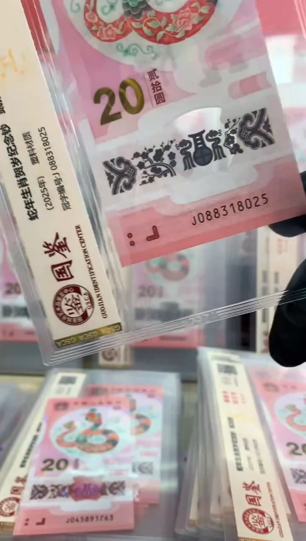【闪购商品】塑料蛇钞 真钞【单张】8025