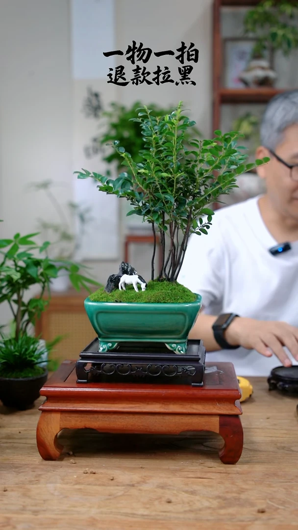 完全开放金****⁶紫檀446