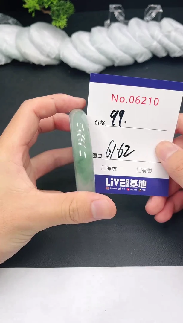 未镶嵌手镯翡翠6210