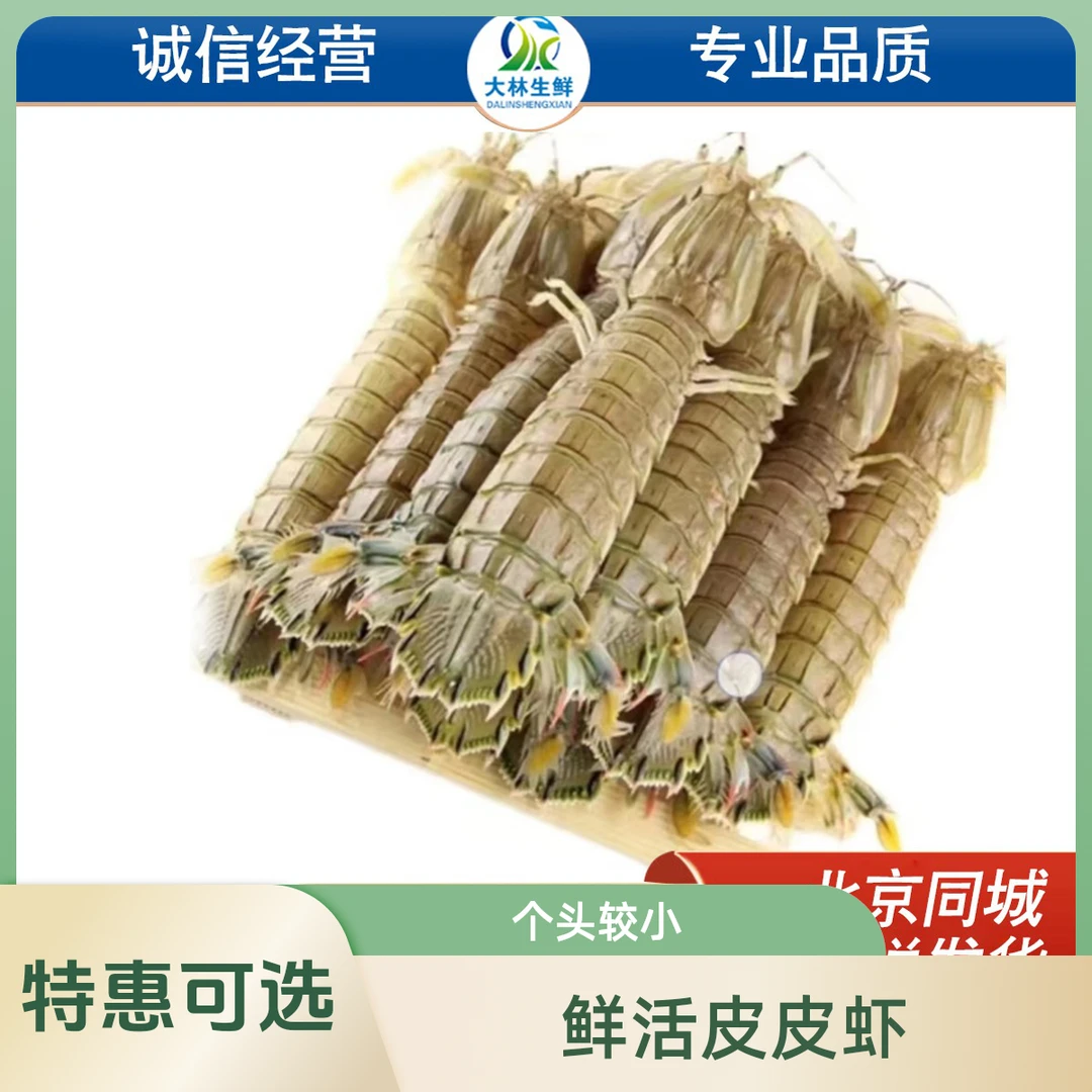 特惠 渤海皮皮虾公母随机 保鲜不保活  斤数可选  15--25条/斤